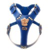 M&D Beautiful Blue Leather Dog Harness Large with Staffy Staffordshire