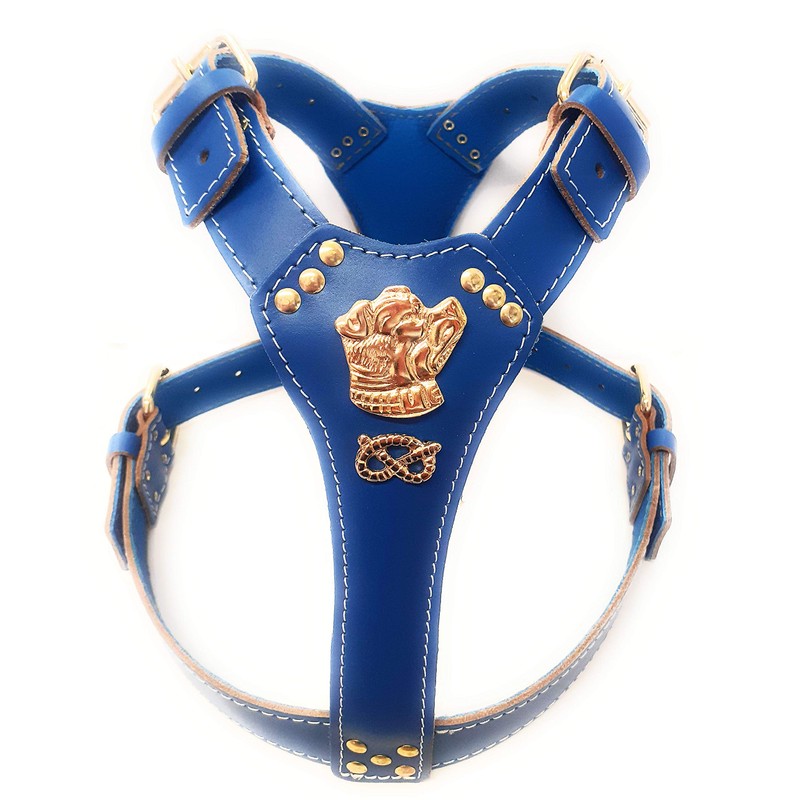 M&D Beautiful Blue Leather Dog Harness Large with Staffy Staffordshire