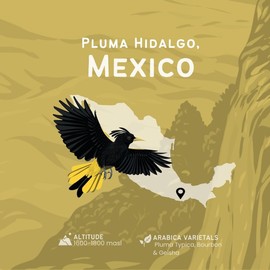 Canopy Point Coffee - Pluma Hidalgo Mexico Light Roast - Whole Bean, Gourmet Blonde Roast, Arabica Single Origin, Specialty Small Batch Air Roasted Coffee Beans, Mild Acidity with Toasted Almond, Honey, and and Citrus Notes, Bold not Bitter (Whole Bean, 12oz)
