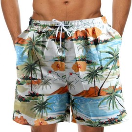 Kotakina Beach Board Shorts Heat Transfer Print Monstera Shorts/L(29-31) 2ea