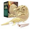 Dinosaur Egg Excavation Kit Jumbo Egg Unearth 14 Different Dinosaurs