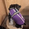 Paipeper Dog Harness, Small Dog Harness, Medium Size Dog Harness,