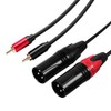 Cable de XLR macho dual a RCA 50 pies, cable