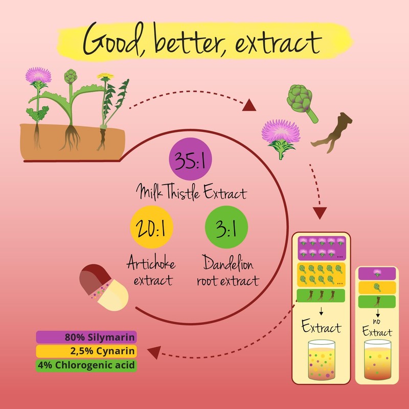 Vegavero Artichoke Leaf Extract Complex | 120 Capsules | HIGH