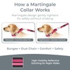 PAWZPAL 6FT Heavy Duty Bungee Dog Leash with Martingale Collar