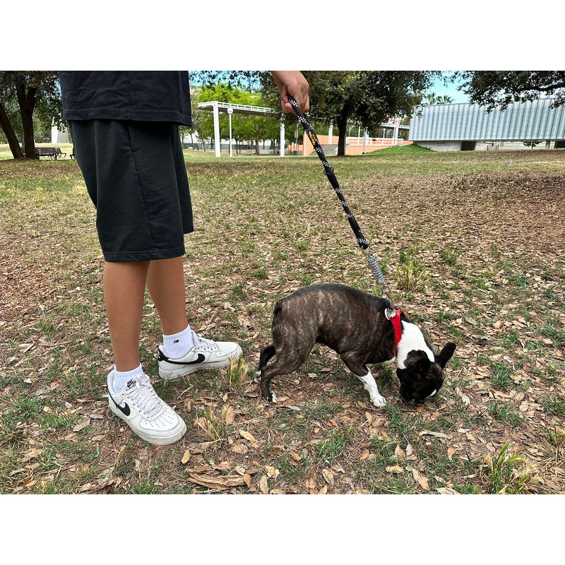 Dog Lead, Shock Absorber, Anti Pull, for Medium and Large