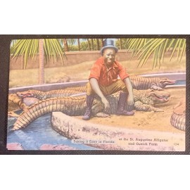 Tichnor Brothers St. Augustine Alligator & Ostrich Farm Vintage Linen Postcard "Taking It Easy"