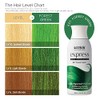 Kiss Express Color #K27 Semi-Permanent Forest Green 3.5 Ounce (100ml)
