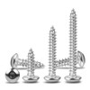 Ranstac M5 x 30mm Hex Socket Pan Head Self Tapping