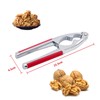 Nutcracker Walnuts, High Quality Pecan Clips, High Quality Multifunctional Nutcracker,