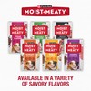 Purina Moist and Meaty Steak Flavor Soft Dog Food Pouches