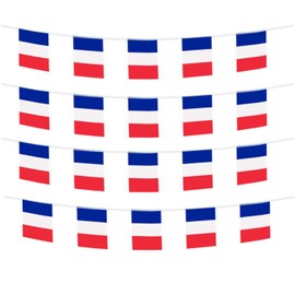 FFILL French Banner Flag, France Mini Flag Small Banner, for Party, Shops And Bars Decorations,Supporting The World Cup And International Day Celebrations.(France)