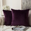 MIULEE Pack of 2 Velvet Soft Decorative Square Throw Pillow
