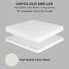Kambo 36 W Ceiling Light LED Bathroom Square Ceiling Light