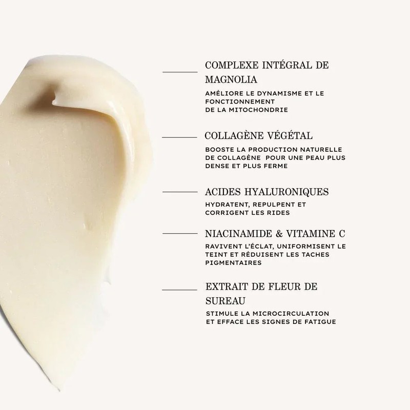 Payot Supreme Absolu Youth Eye Cream 15ml