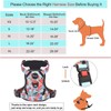 Petmolico No Pull Dog Harness Set, 2 Leash Attachment Easy