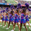 4 Pcs Cheerleading Pom Poms with Baton Handle, Metallic Cheerleader