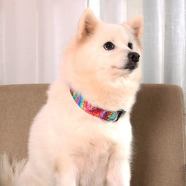 Coomour Dog Collar Pet Funny Rainbow Adjustable Collars with Cute Tie Dye Leash for Small Medium Large Dogs Cats Multicolor Collars Set (X-Large)