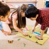 Insects Life Cycle Kit Stages of Insect with Wooden Tray