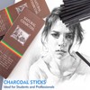 30 PCS Charcoal Sticks, Black Willow Charcoal 3-5mm, 5-7mm, 7-9mm