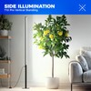 Barrina T10 Pro Standing Grow Light with Timer, 42W, 5000K,