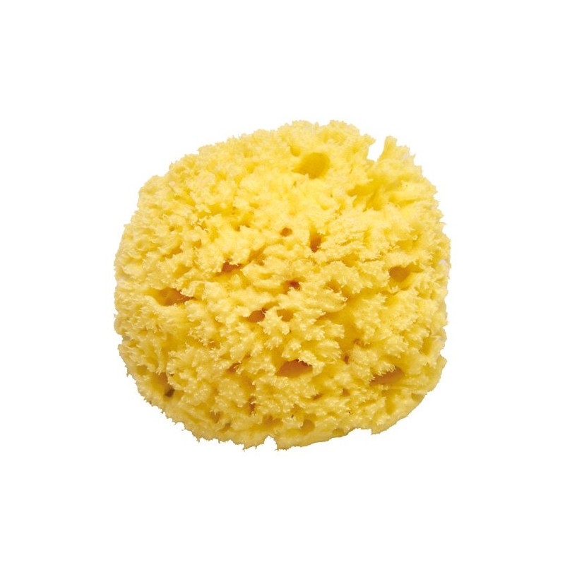 Pigeon Natural Bath Sponge