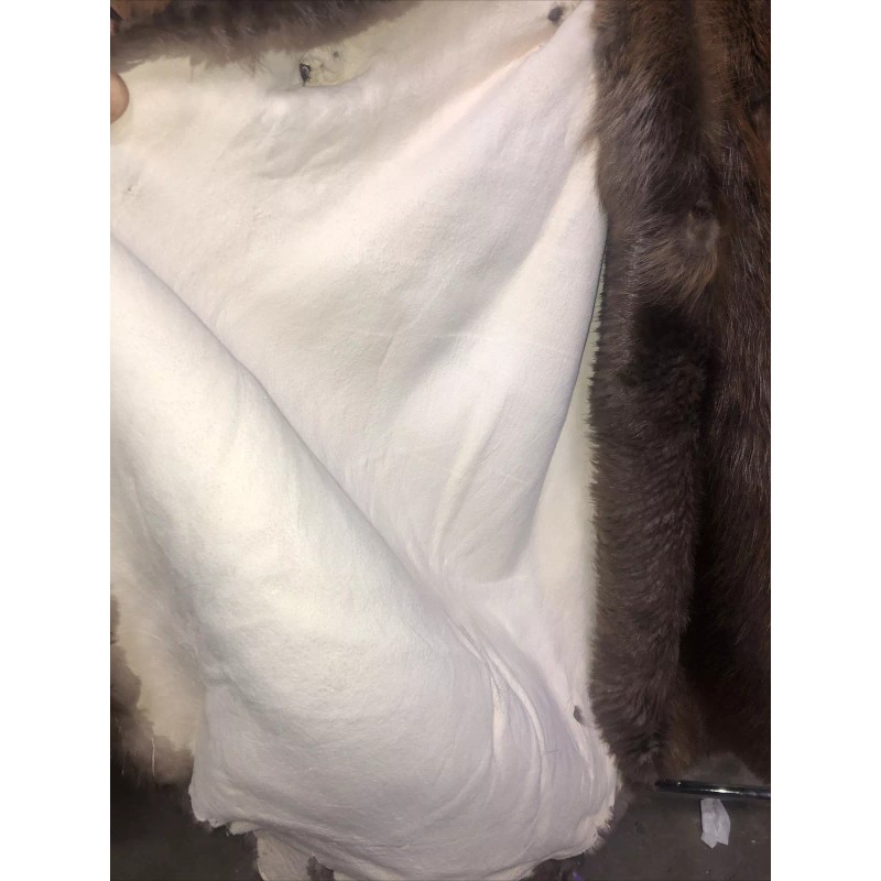 Beaver Hide Tanned Taxidermy