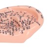 6.7in Ear Acupuncture Model Silicone Engraving Ear Massage Acupuncture Model