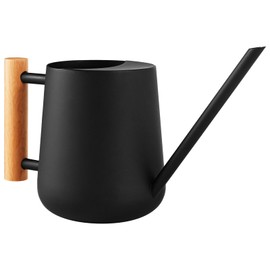 Stainless Steel Watering Can with Long Spout, 34 oz Bonsai Watering Can with Wood Handle for Potted Plants, Black Matte Finish