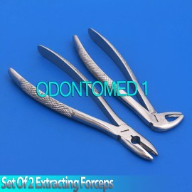 ODM 2 Pcs Dental Extracting Mead Forcep MD1 & MD3 Upper Lower Incisors Surgical Tool