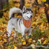 Thanksgiving Dog Bandanas Fall Leaves Reversible Triangle Bibs Dog Scarfs