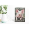 James Coates - Happy Birthday You Filthy Animal Pig Card