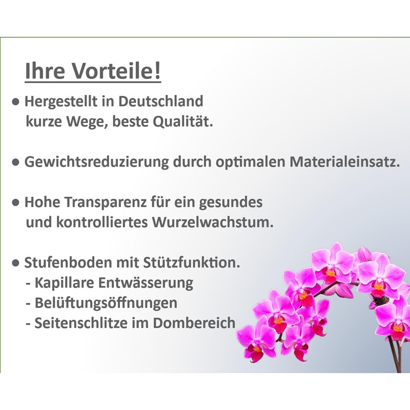 meindekoartikel 12 Orchid Pots for Orchids Plastic Transparent (Diameter 11.5