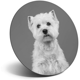 Destination Vinyl ltd Magnet for Refrigerator, Fridge BW - Cute West Highland Terrier Dog Westie for Office, Cabinet and Whiteboard, Magnetic Stickers, 43758