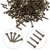 ISDVBUY 200Pcs Small Tiny Nails 1.2x8mm(DXL) Carbon Steel Copper Plated