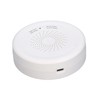 Combustible Gas Detector for Home Smart Safety Natural Gas Leakage