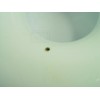 Ring Fender White 30 cm Fender
