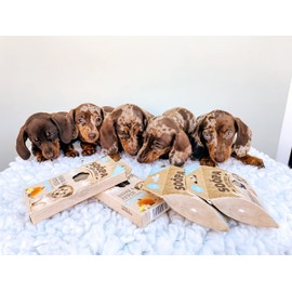 Soopa Banana & Pumpkin Puppy Healthy Bites 50gm