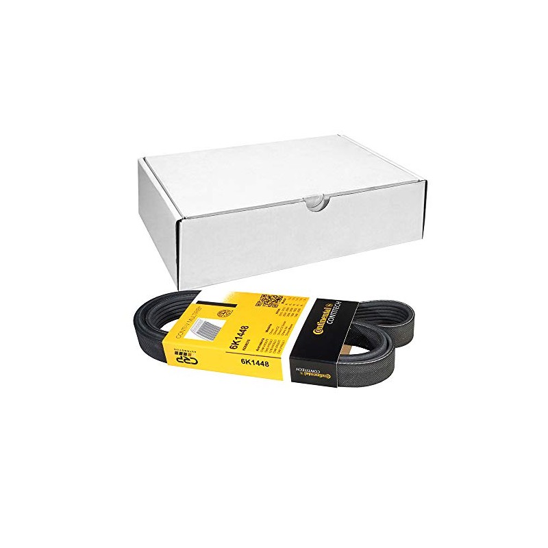 CONTITECH 6PK1448 V-ribbed belt