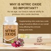 SehatiKu Nitric Oxide Supplement, Nitric Oxide Booster & 6-in-1 Phytonutrient