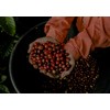 Buena Vida Speacialty Coffee - Cerros de Tarrazú, Ground -