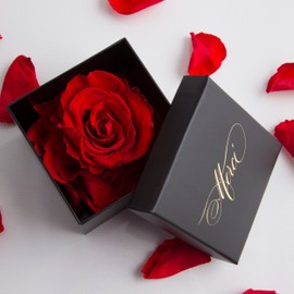 4 Small Preserved Roses that Last Long to Say Thank You as a Fine Flower Box with Gold Lettering MERCI Thank You Gift - Size 6 x 6 x 2 cm (1 Rose, Red)