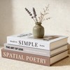 3Pcs Decorative Books, Fake Books for Coffee Table Decor Home