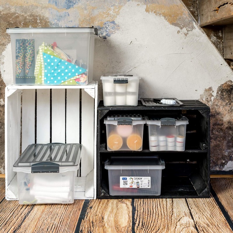 Rotho Storage Box with Lid Transparent and Compact