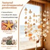 Griwuut 16 Kinds Natural Sea Shell, Mixed Ocean Shells Set