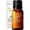 Gya Labs Cinnamon Essential Oil for Diffuser - 100% Pure