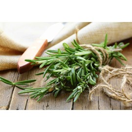 Gaea's Blessing Seeds - Rosemary Seeds - Heirloom Non-GMO Seeds with Easy to Follow Instructions 97% Germination Rate (Single Pack)