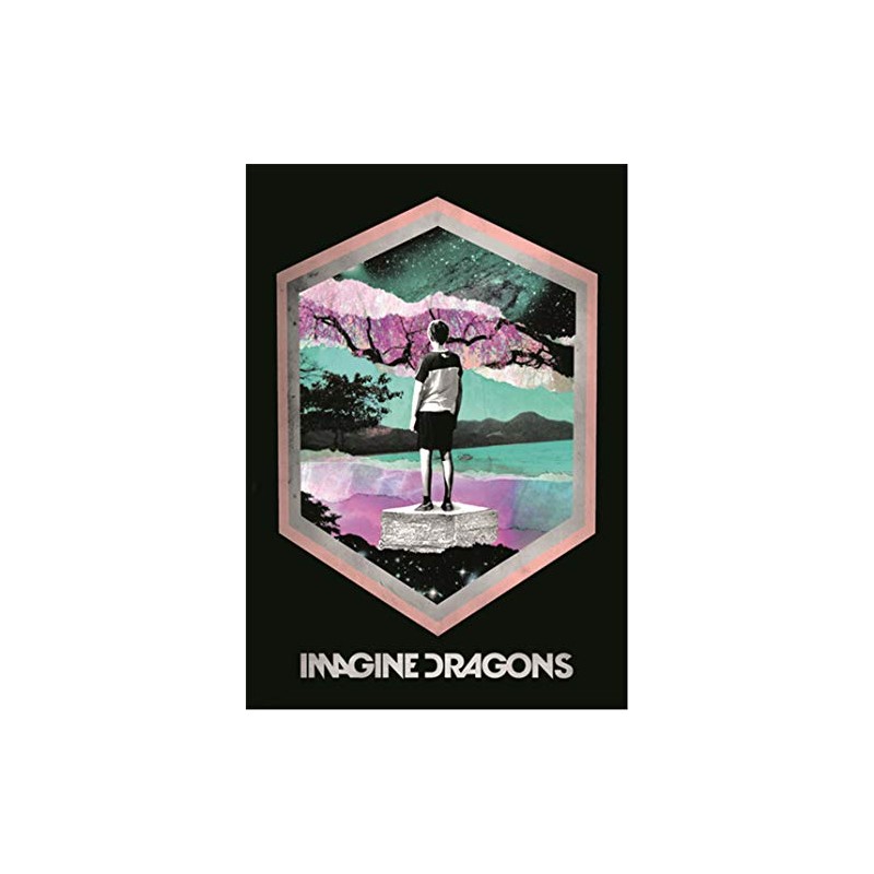 Imagine Dragons FLAG/BRAND POSTER FLAG FRAMED