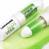 Jolilab 4 Pcs Aloe Vera Lip Balm Lipstick, Lip Stick