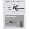 Phylluz 52'' Black Flush Mount Ceiling Fan with Lights for